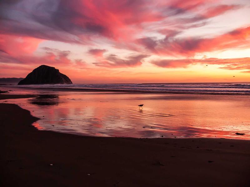 推特账号交易安全<br>买卖交接防骗防找回完整流程
